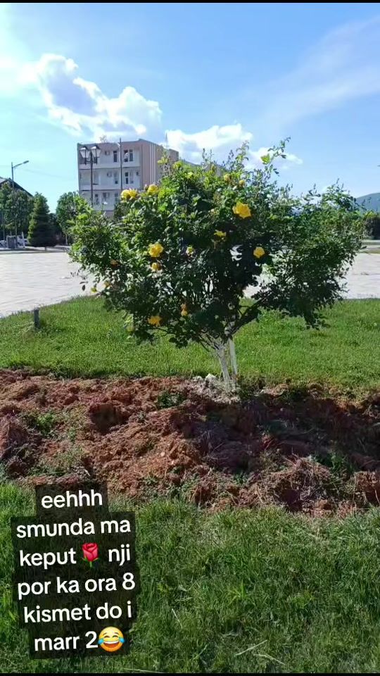 TikTok video thumbnail by user.321861