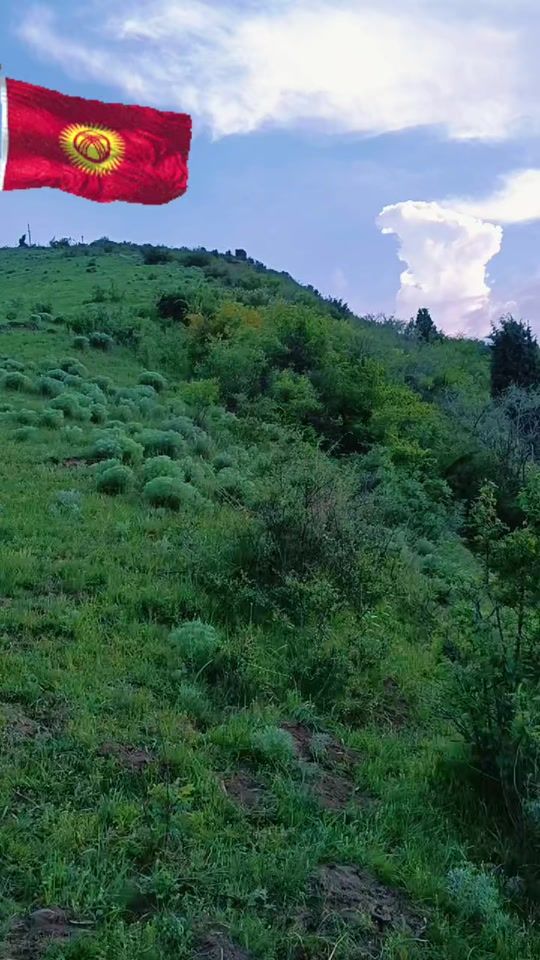 TikTok video thumbnail by evlilik_programi_