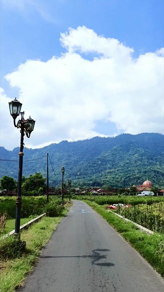 TikTok video thumbnail by mamarifan26