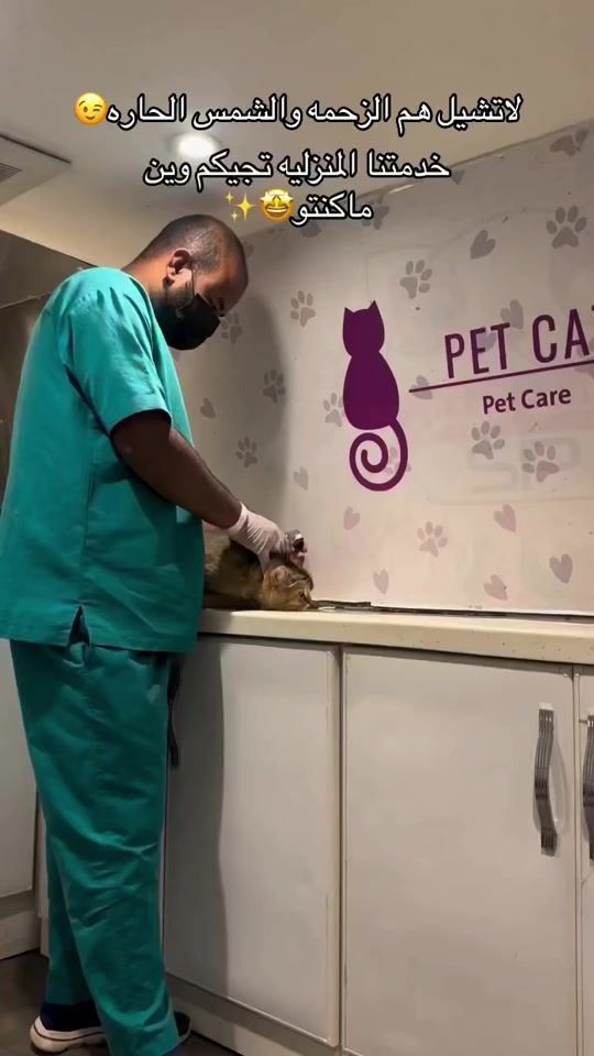 TikTok video thumbnail by petcatsa