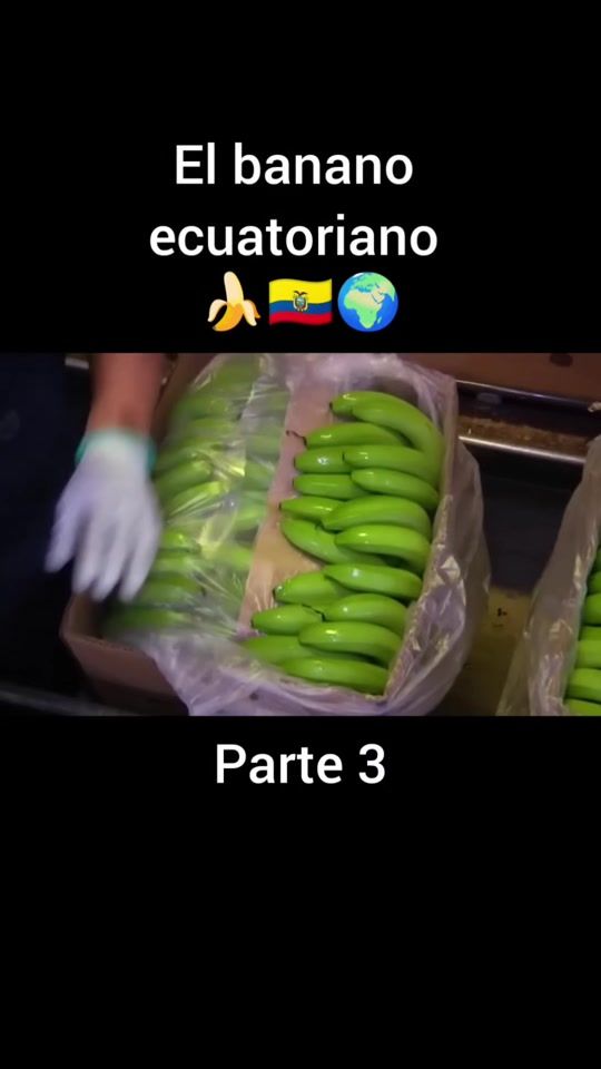 TikTok video thumbnail by soyjbdani