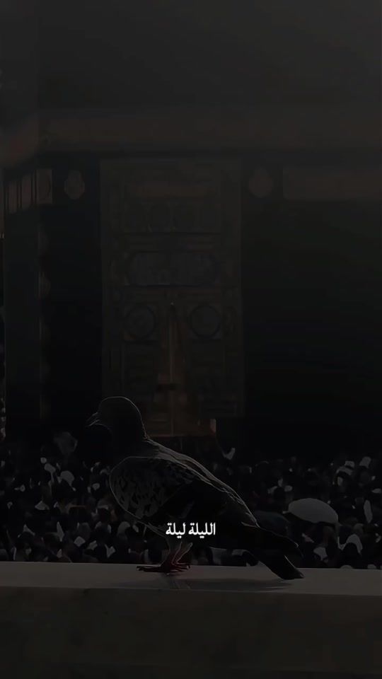 TikTok video thumbnail by km_a_l51729