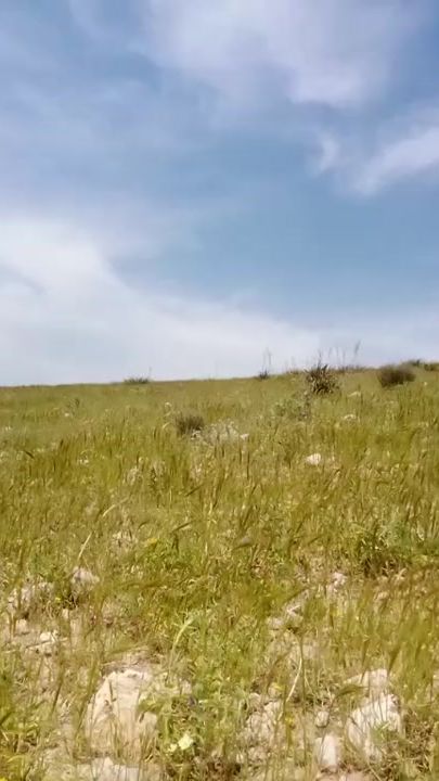 TikTok video thumbnail by moo.kabneh