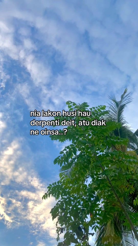 TikTok video thumbnail by suaioan256
