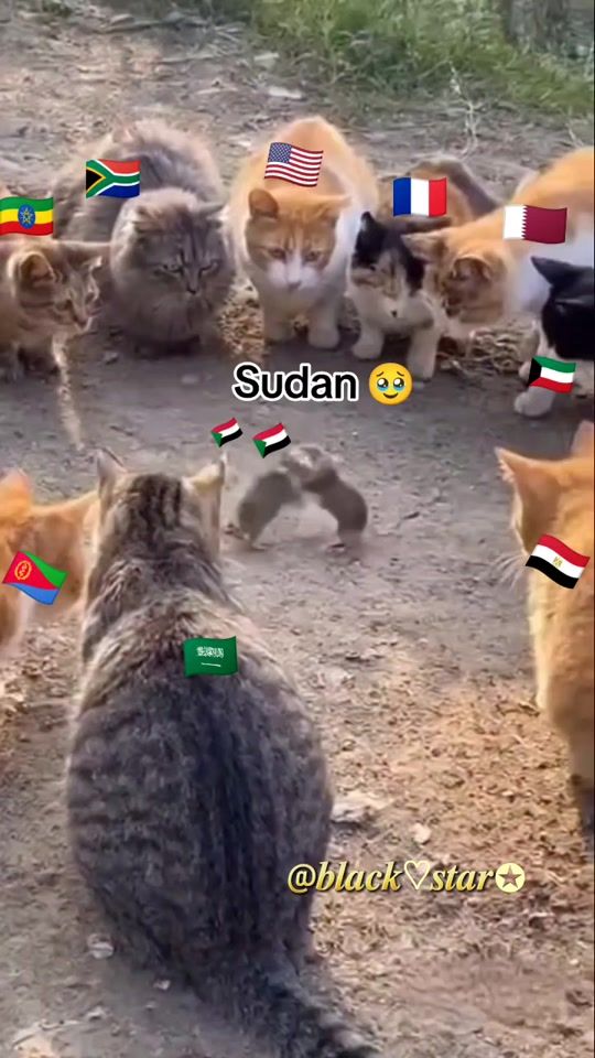 TikTok video thumbnail by esteva0.41