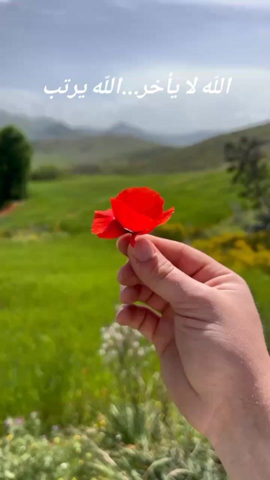TikTok video thumbnail by anis_adjam_06