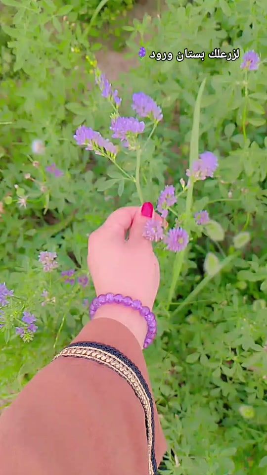 TikTok video thumbnail by zz_19955