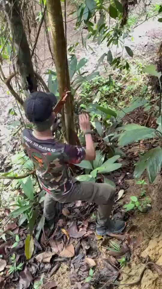 TikTok video thumbnail by longsurvival