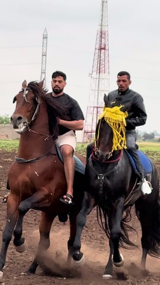 TikTok video thumbnail by mohcin.amir
