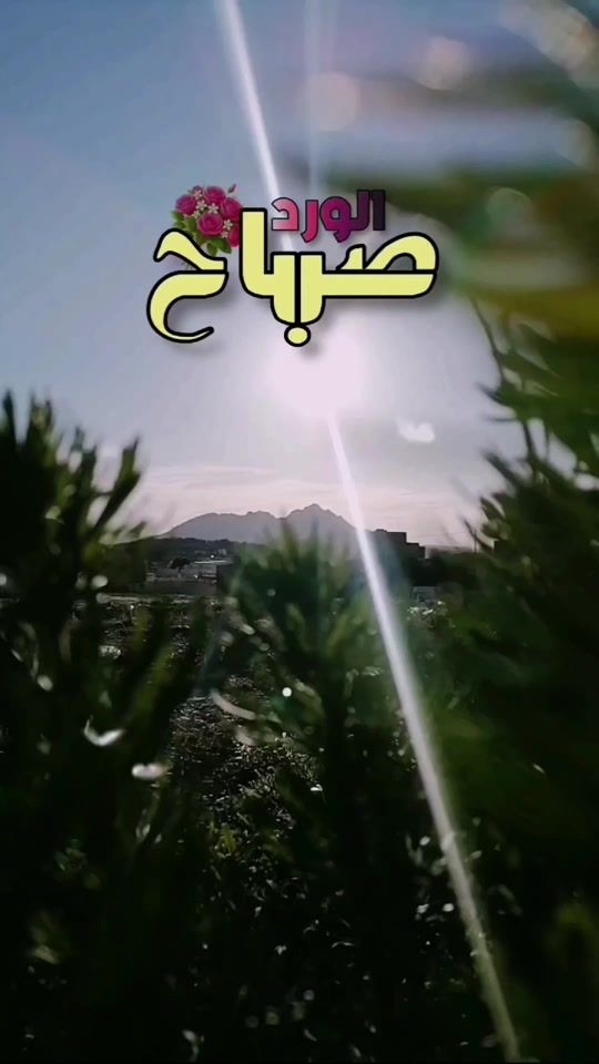 TikTok video thumbnail by tlili468
