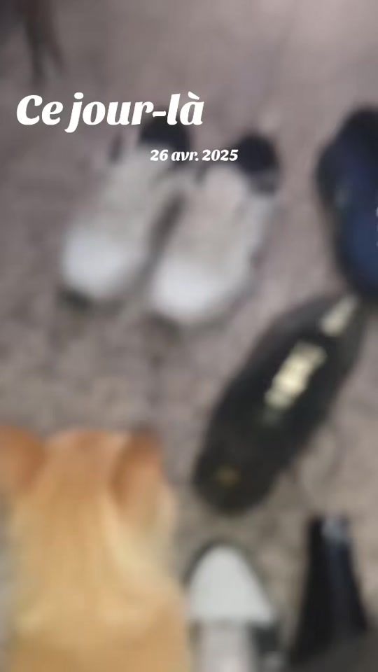TikTok video thumbnail by 05restoration