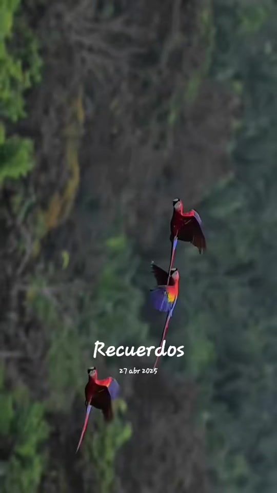 TikTok video thumbnail by josesoto27_4