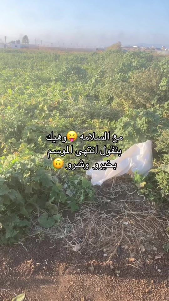 TikTok video thumbnail by saeadalsmamra