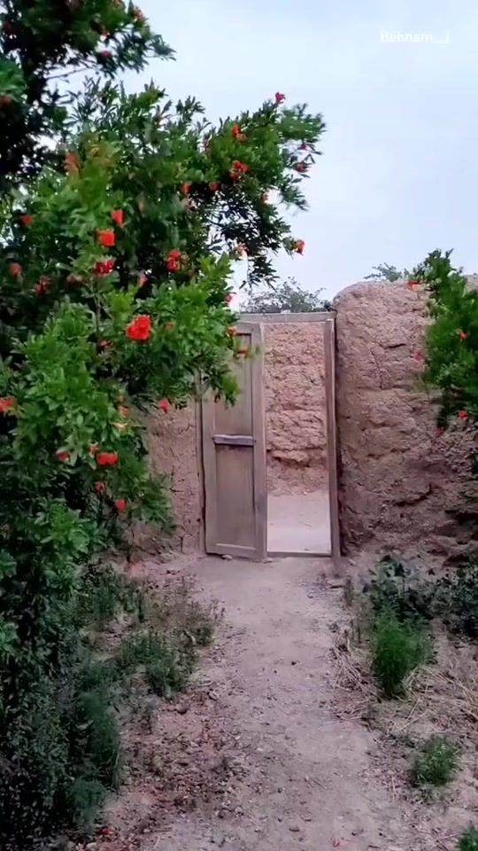 TikTok video thumbnail by hpw864