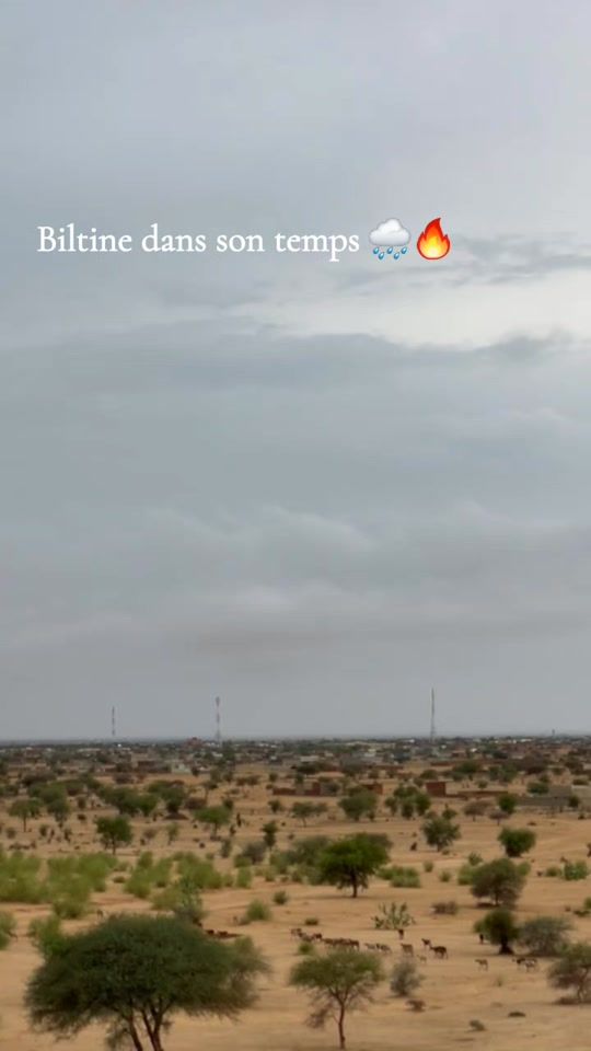 TikTok video thumbnail by diguchi_toumara