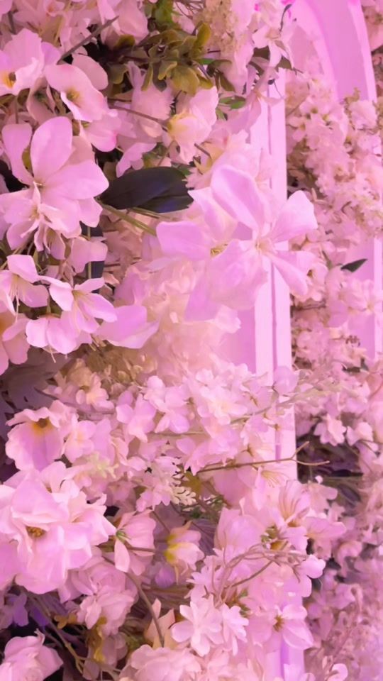 TikTok video thumbnail by impactvisionevent.cg
