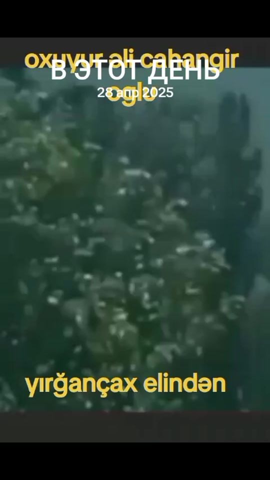 TikTok video thumbnail by userm0s3j3efzd