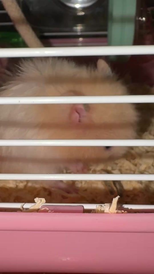 TikTok video thumbnail by beautylashgemstooth