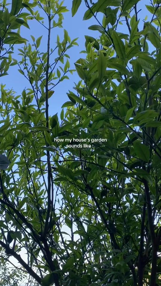 TikTok video thumbnail by manel.cam