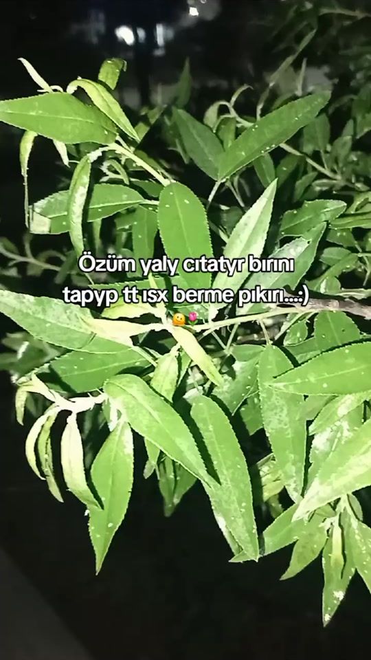 TikTok video thumbnail by annaeva_9