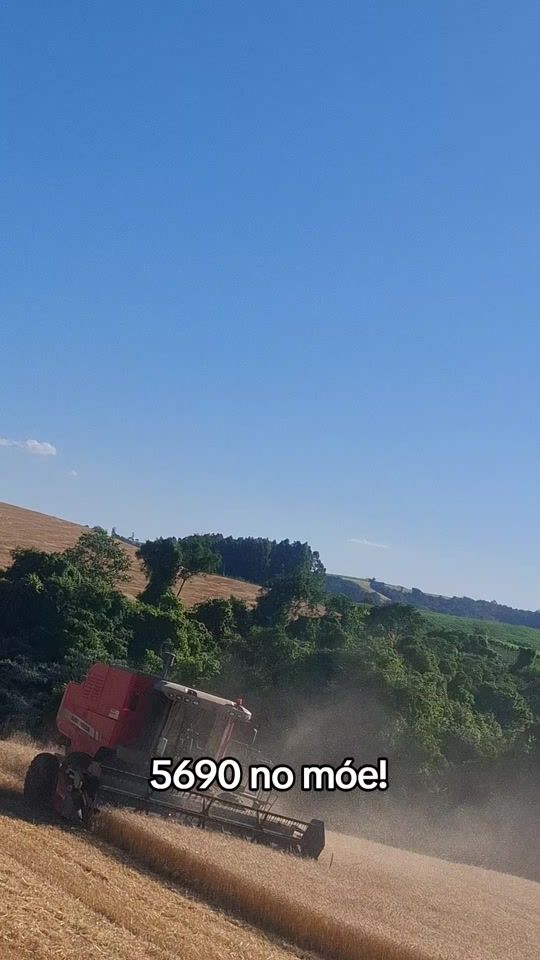 TikTok video thumbnail by elieser._conte