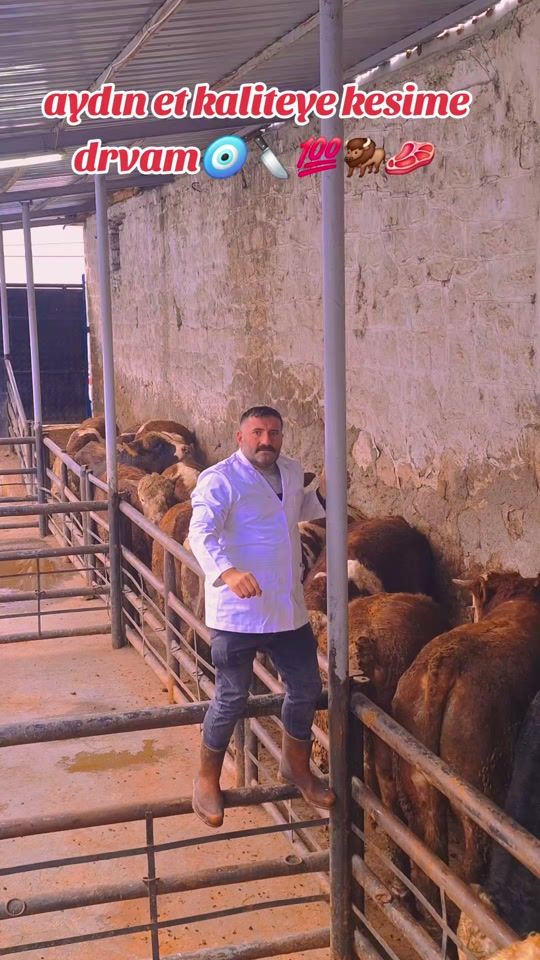TikTok video thumbnail by kasap_mahmut