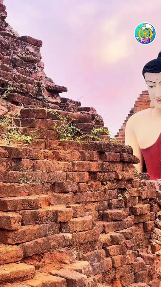TikTok video thumbnail by dhamma.hline