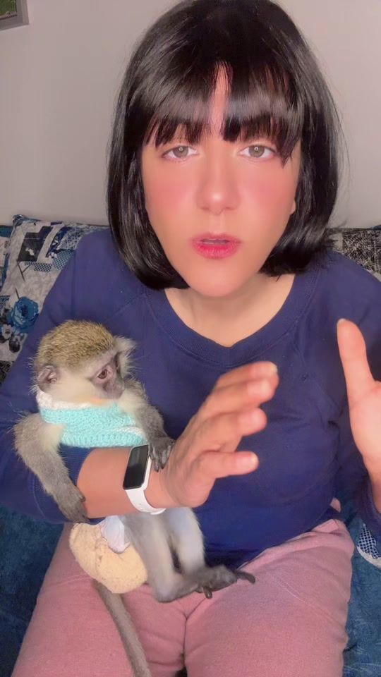 TikTok video thumbnail by cindrellapuppets