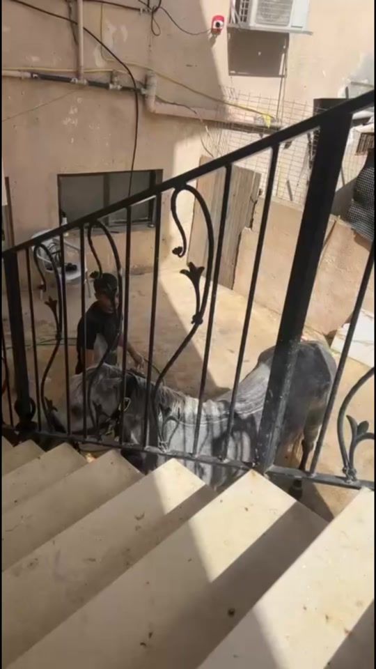 TikTok video thumbnail by abn_algbaren7