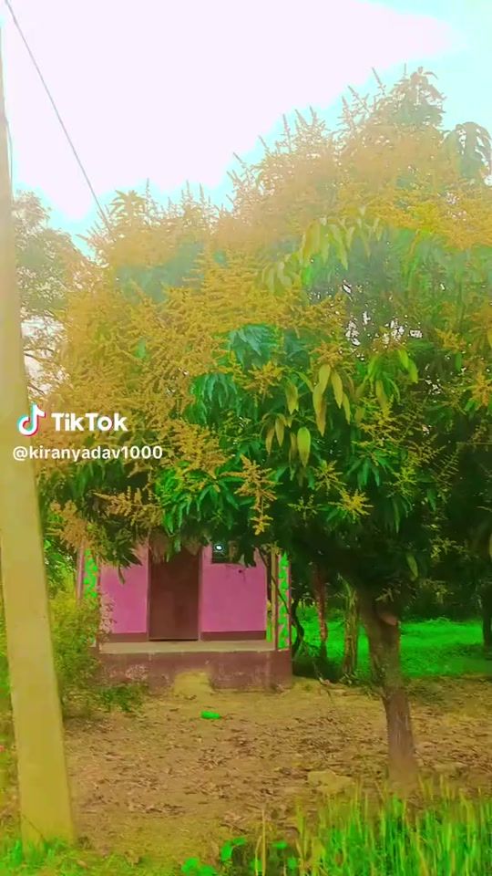 TikTok video thumbnail by aarjit_y......1