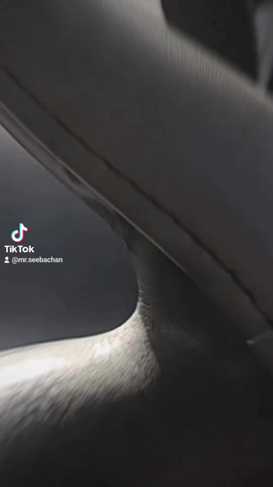 TikTok video thumbnail by mr.seebachan
