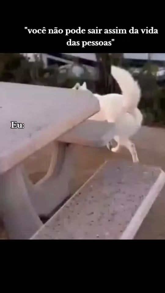 TikTok video thumbnail by carina_gonc