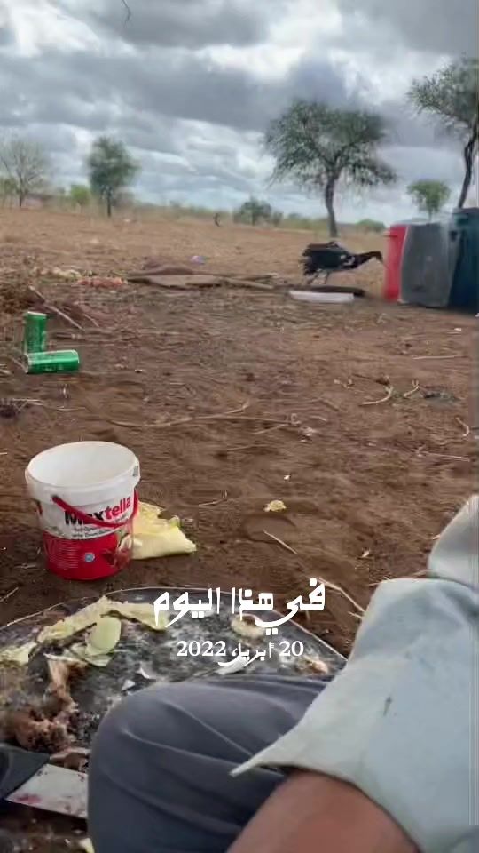 TikTok video thumbnail by b_jld1