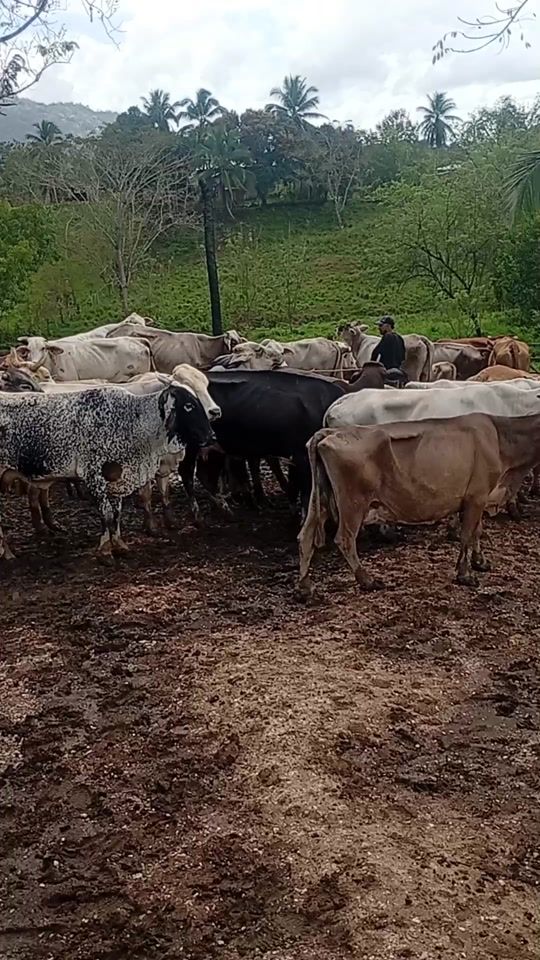TikTok video thumbnail by ibran.rodrguez