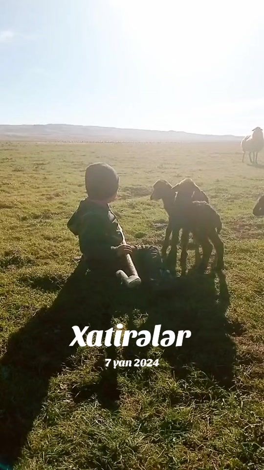 TikTok video thumbnail by aliqarx727