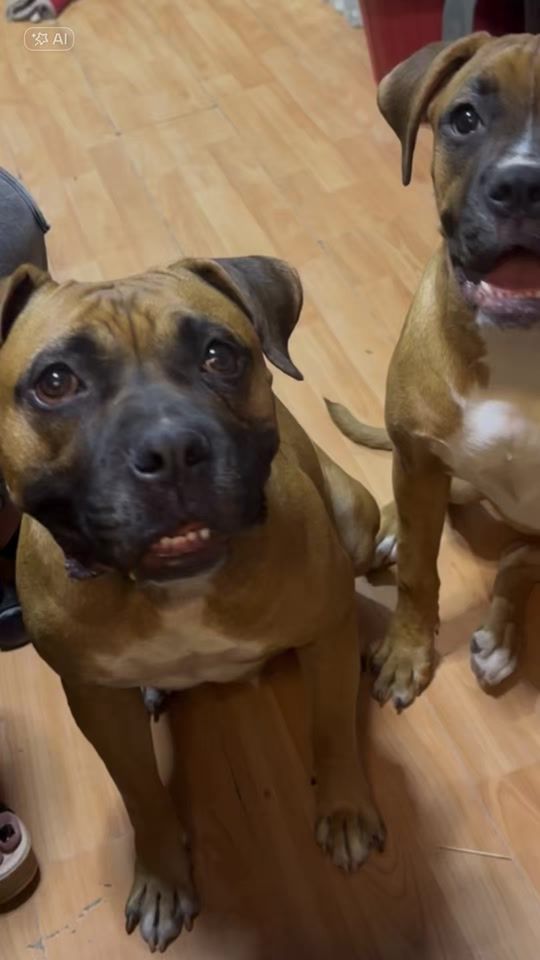 TikTok video thumbnail by frida.kahlo2619
