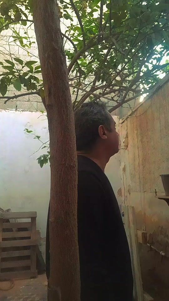 TikTok video thumbnail by imad_halali