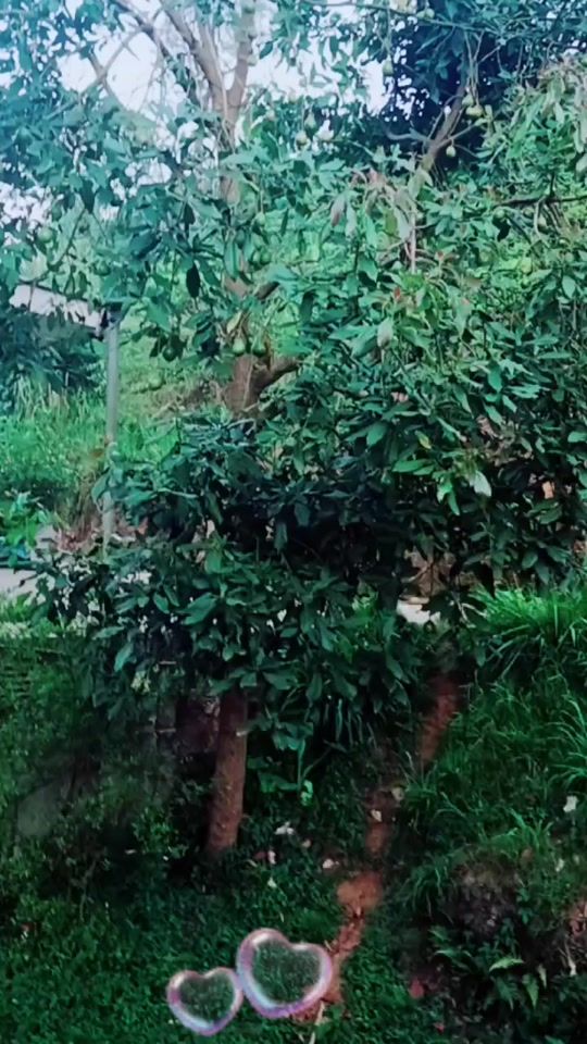 TikTok video thumbnail by user3093754128090