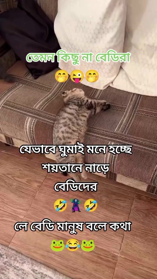 TikTok video thumbnail by user8249010579335