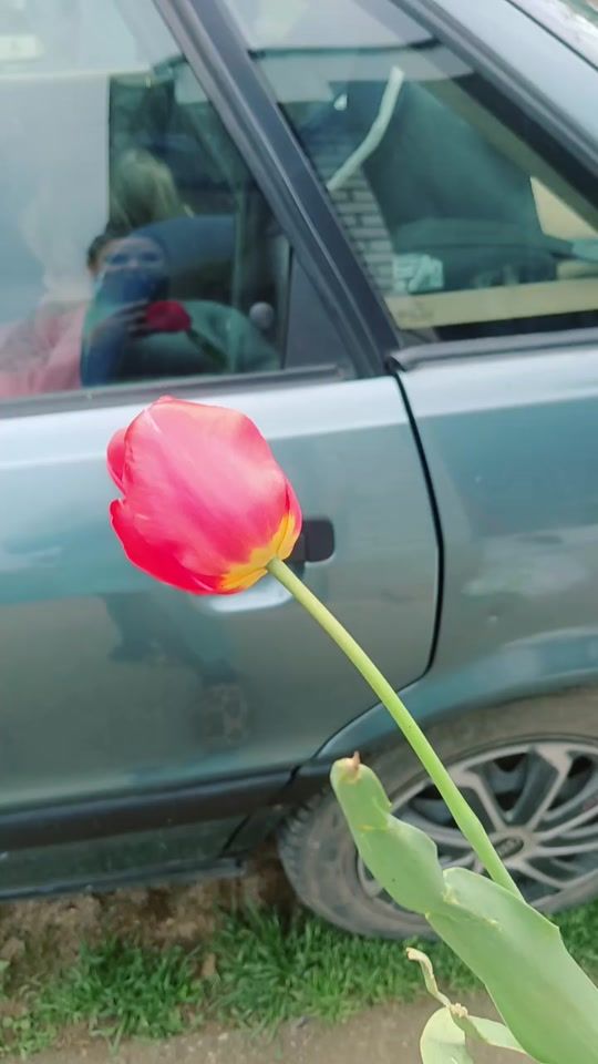 TikTok video thumbnail by milensi2001