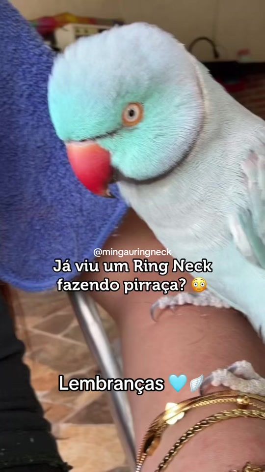 TikTok video thumbnail by mingauringneck
