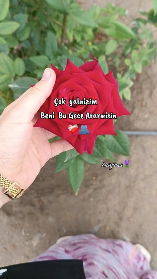 TikTok video thumbnail by marjinaa__