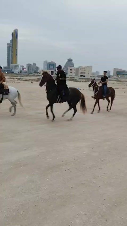 TikTok video thumbnail by abdullahalnaar