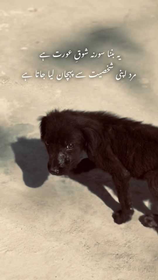 TikTok video thumbnail by _h_a__1