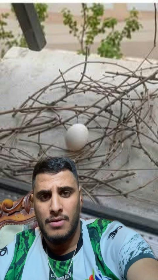 TikTok video thumbnail by youssefpasplis