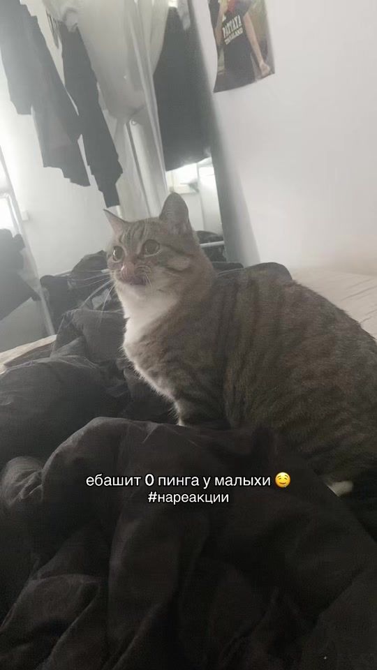 TikTok video thumbnail by yunozzcz