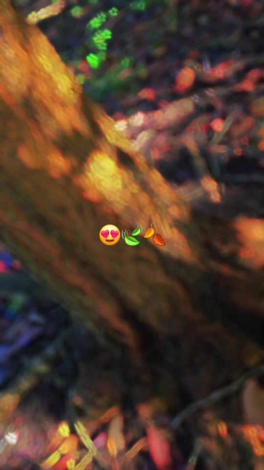 TikTok video thumbnail by use9289iris
