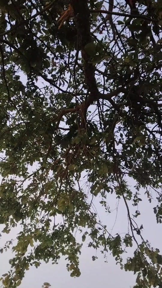 TikTok video thumbnail by mohammdm221