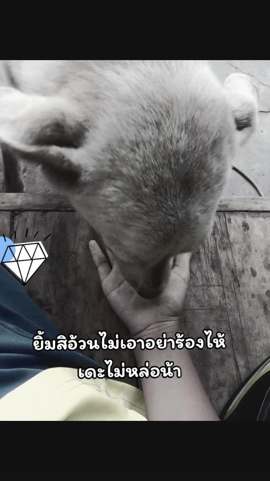 TikTok video thumbnail by chopaka54