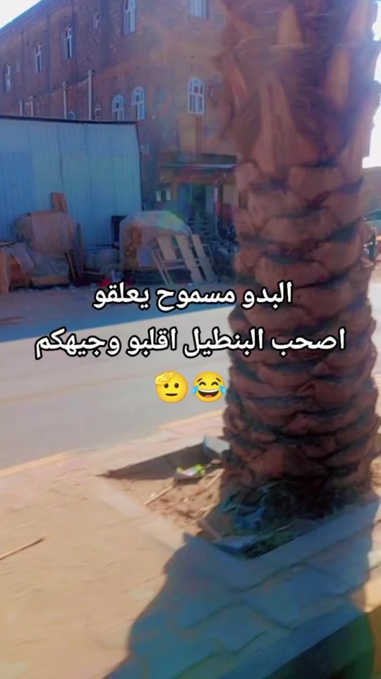 TikTok video thumbnail by 711zx3